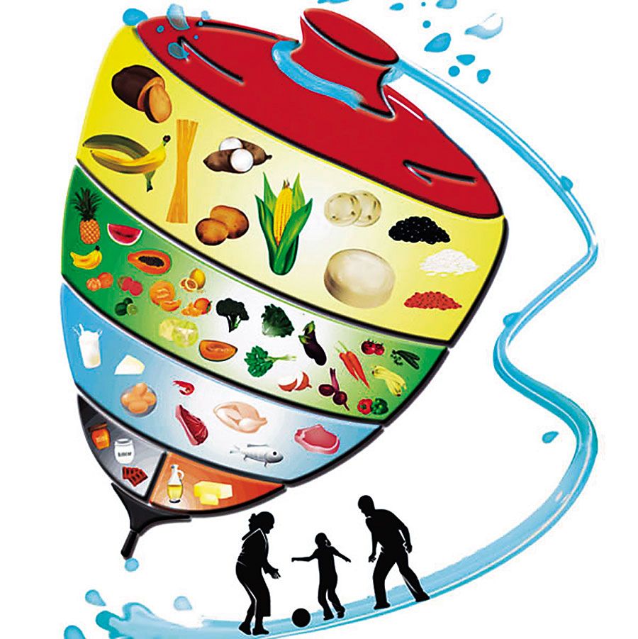 El Trompo de los Alimentos - Nutrición Escolar